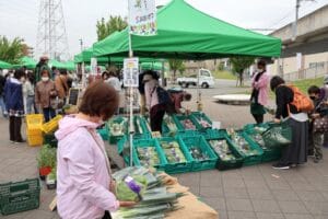 11月15日・16日はイベント満載！八潮市と周辺エリアで秋の週末を楽しもう