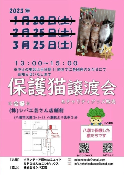 ボランティア団体ねこエイド/NPO法人ねこひげハウス 保護猫譲渡会のお知らせ