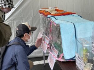 八潮市の保護猫譲渡会で新しい家族を見つけよう！「ねこひげハウス」と「ねこエイド」