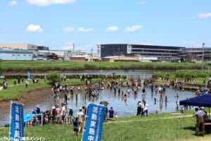 中川の夏を楽しもう！今年は500名参加目標!? 水辺の楽校で魚とり「夏まつり」