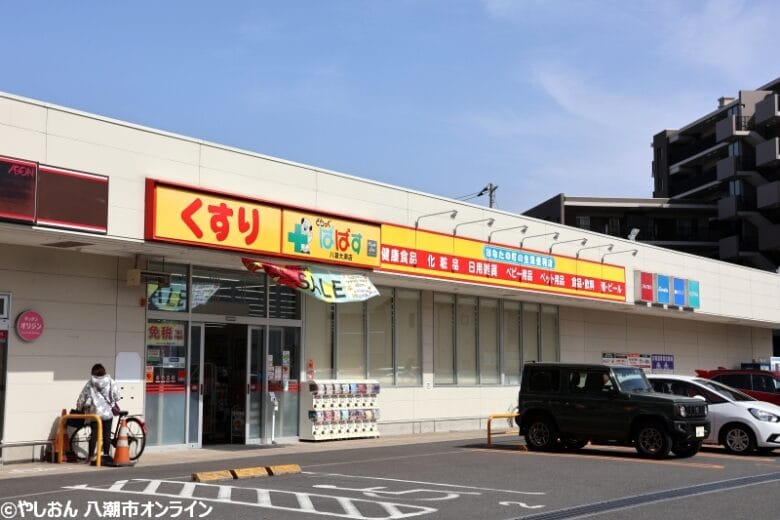 どらっぐぱぱす 八潮大瀬店