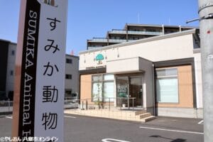 すみか動物病院　鳥も診れる埼玉県八潮市の動物病院