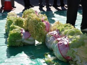 「山東菜まつり」12月14日開催！八潮の希少な地元野菜を味わおう