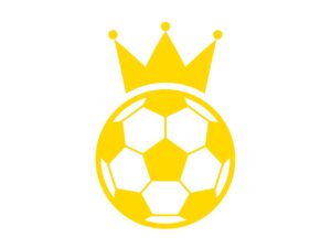 八潮市の少年サッカークラブ「レジスタFC」、5年連続の優勝を達成！ペレーニアと共に関東大会へ進出