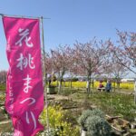【八潮市】第18回川の駅・中川やしお花桃まつりが開催　八潮市で春の訪れを祝うイベントをレポート