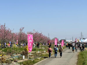 第18回川の駅・中川やしお花桃まつり