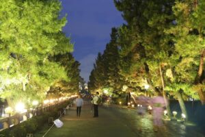 草加松原夢祭り 2024：光と笑顔が織りなす夏の祭典が開催
