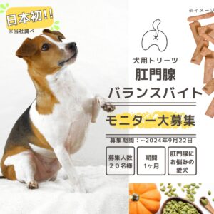 八潮市に事業所を構える株式会社YGGDRASILLが愛犬の健康をサポート！「肛門腺バランスバイト」試作品モニター募集中