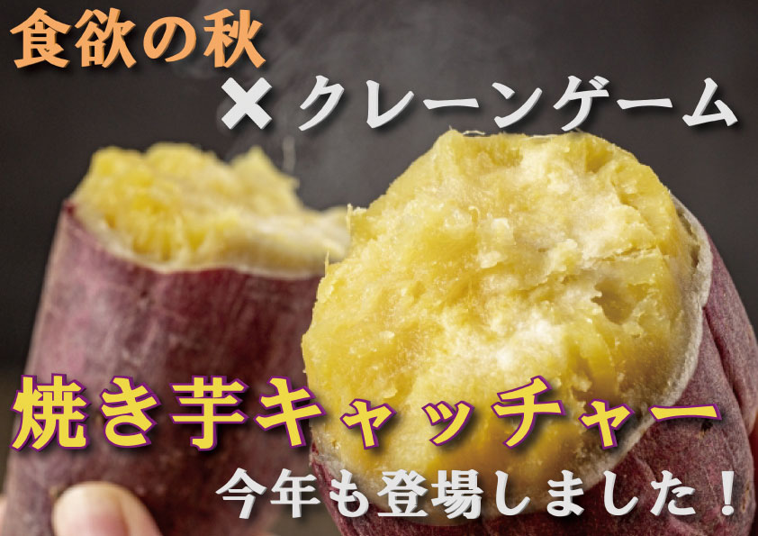 エブリデイとってき屋東京本店『焼き芋キャッチャー』再び登場！秋の