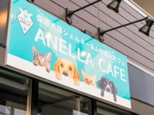 保護犬猫と触れ合える新たな空間！「ANELLA CAFE 谷塚店」が谷塚駅近くにオープン予定