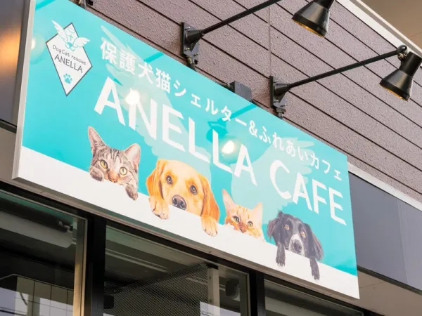 ANELLA CAFE 谷塚店