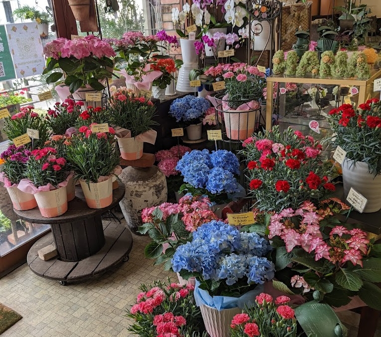 花庵　花一輪で心華やぐ毎日を あなたの暮らしに彩りを