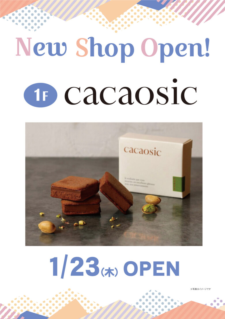 cacaosic（カカオシック）