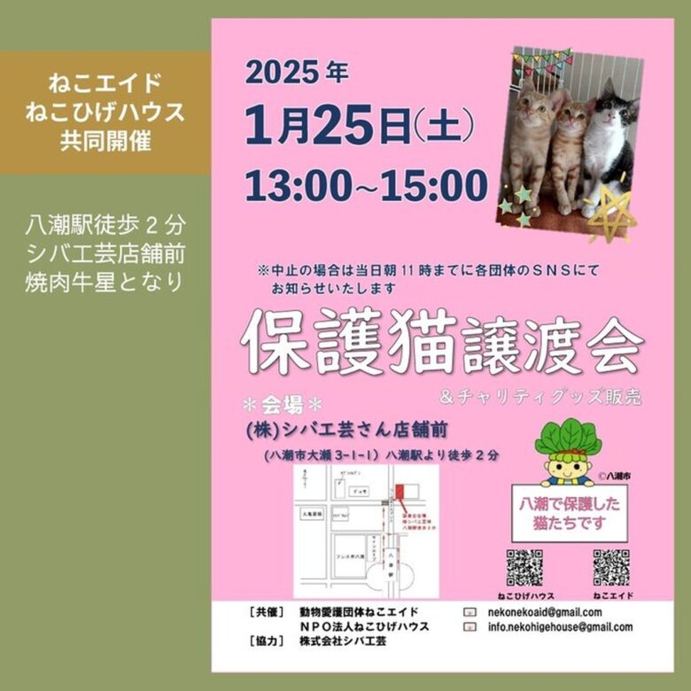 八潮市の保護猫譲渡会で新しい家族を見つけよう！「ねこひげハウス」と「ねこエイド」