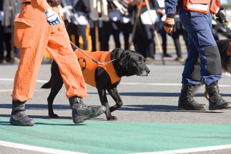 災害救助犬