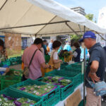 晴天の下、大盛況！やしお枝豆即売会と特産品販売会を開催