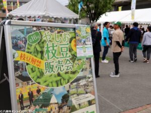 やしお枝豆ヌーヴォー解禁！駅前公園に長蛇の列　第16回やしお枝豆販売会開催