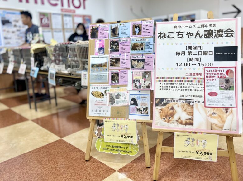 三郷発・保護猫支援の輪が拡大中 チャリティTシャツ&トートバッグ2025販売スタート