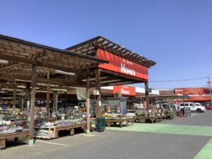 【島忠ホームズ八潮・三郷・草加店などで備蓄米を限定販売】7月18日から政府米5kgを1,922円で提供