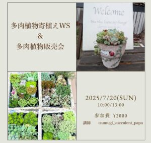 多肉植物に癒される休日！八潮市「アンハウス」で寄せ植えワークショップ開催