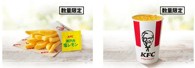 【KFC夏の新定番】和の旨みと爽やかさが融合!「夏の和風バーガーズ」7月16日より数量限定発売