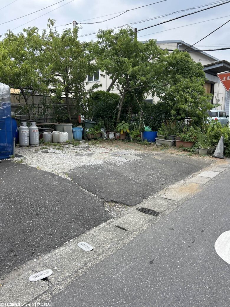 八潮市で営業中!潮彩メダカ"が話題に 4
