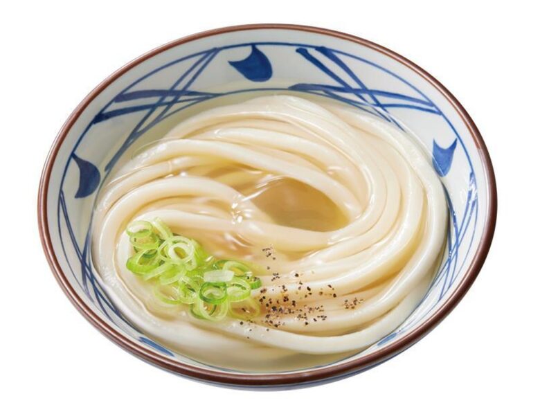 冷たーい旨塩うどん