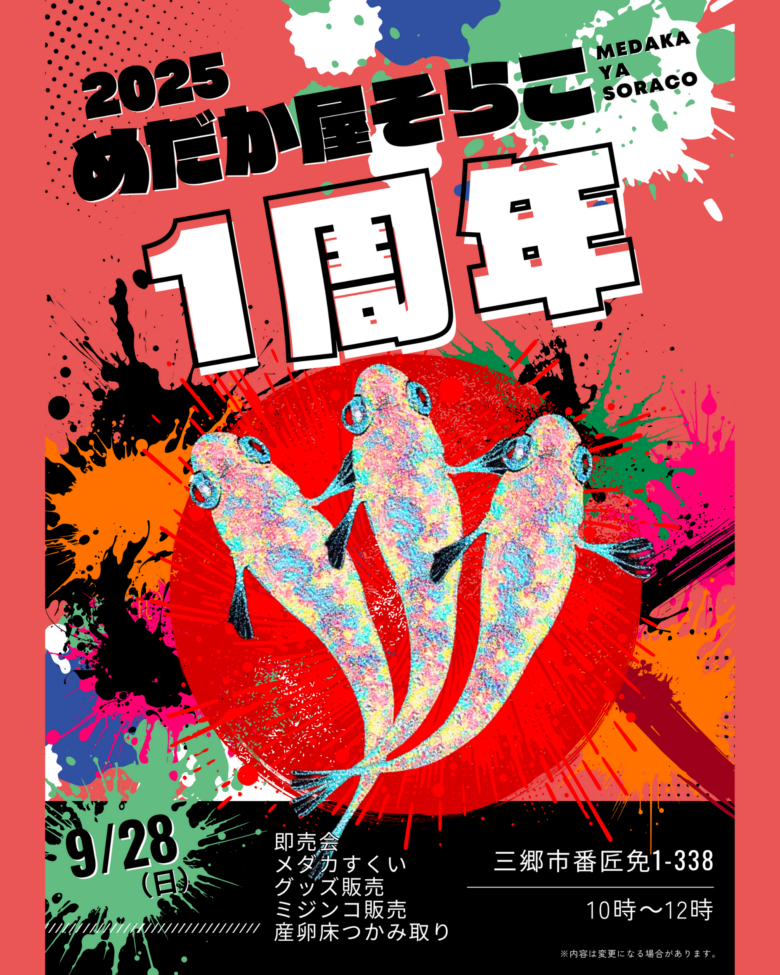 三郷市「めだか屋そらこ」１周年記念イベント開催　感謝を込めた特典と盛りだくさんの内容