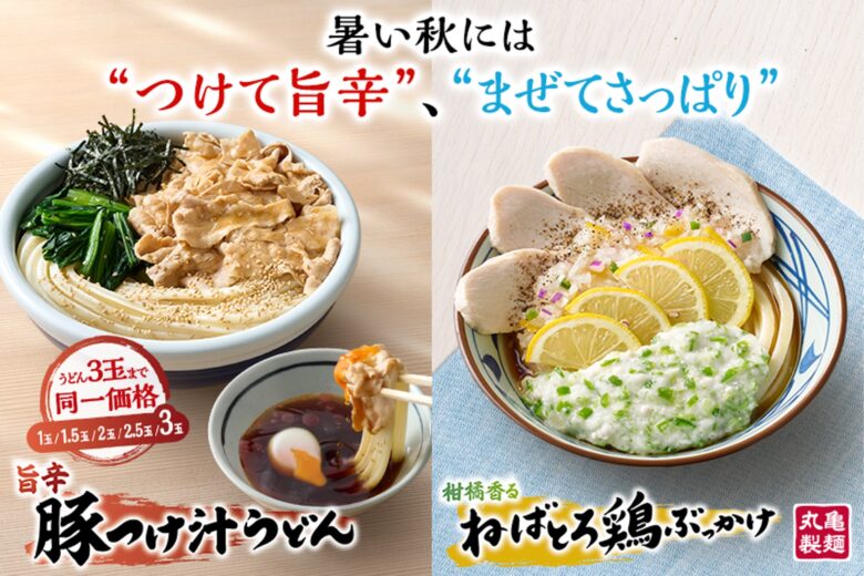 9月は“まだ夏”？丸亀製麺が冷たいうどん2種を新提案　旨辛＆さっぱり登場