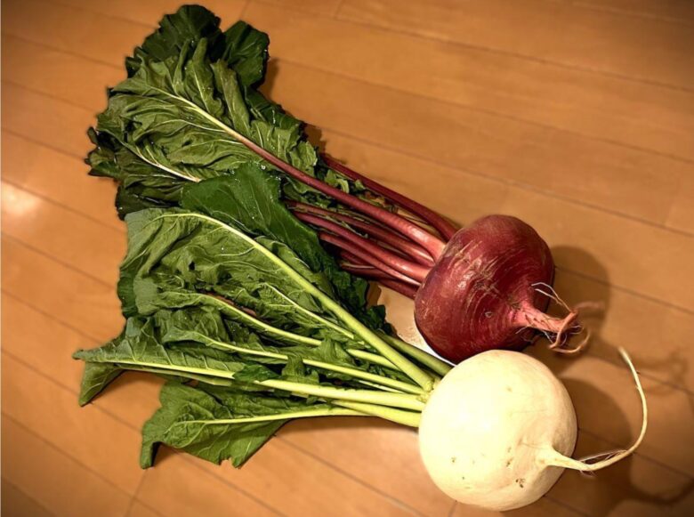 八潮の冬畑から食卓へ――佐藤農園が届ける旬の彩り野菜たち