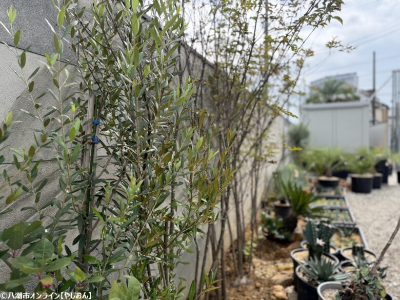 草加・八潮から発信する“理想の外構デザイン”──株式会社all eightが提案する次世代の空間づくり