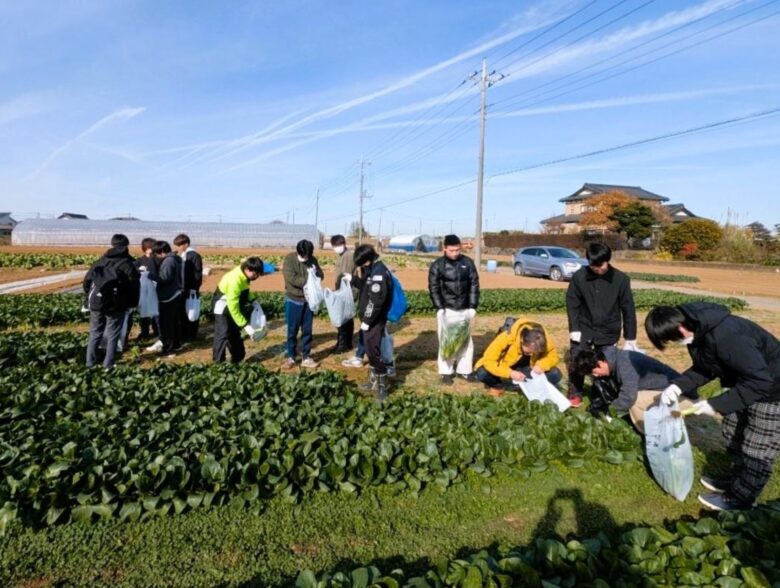 八潮の冬畑から食卓へ――佐藤農園が届ける旬の彩り野菜たち