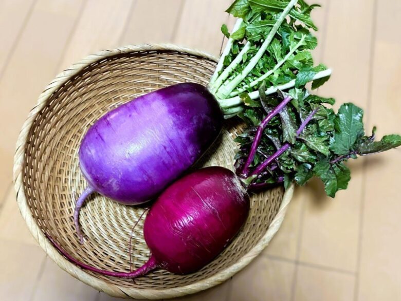 八潮の冬畑から食卓へ――佐藤農園が届ける旬の彩り野菜たち