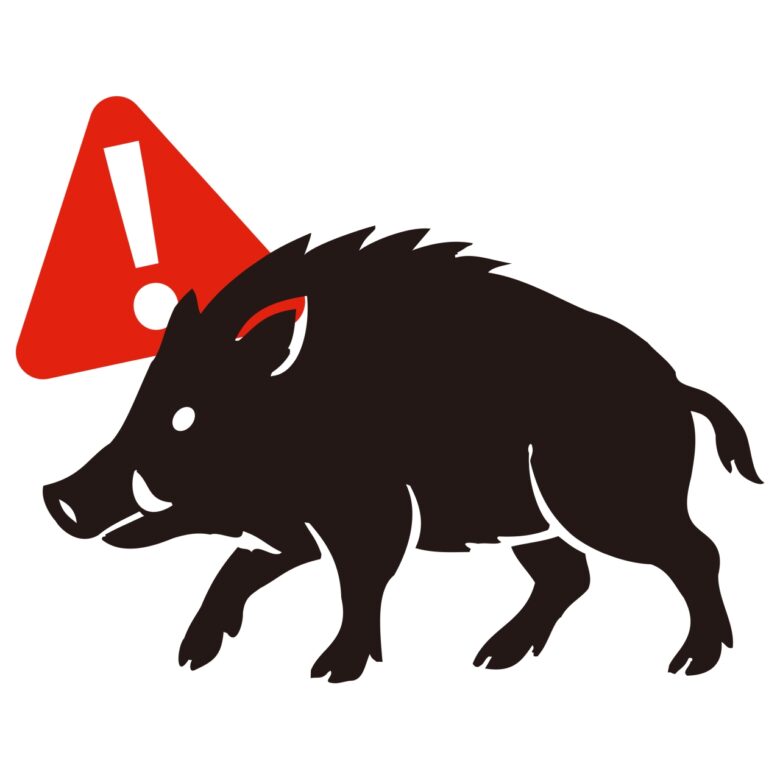 八潮市大字八條で再びイノシシ目撃情報 住民に警戒呼びかけ