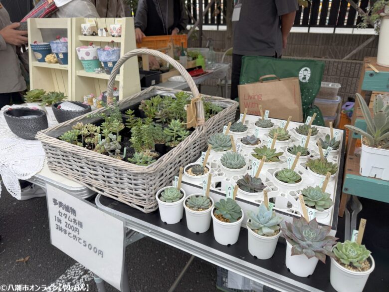 地域の魅力が咲いた一日　草加市・光明寺で「お寺deマルシェ」開催報告