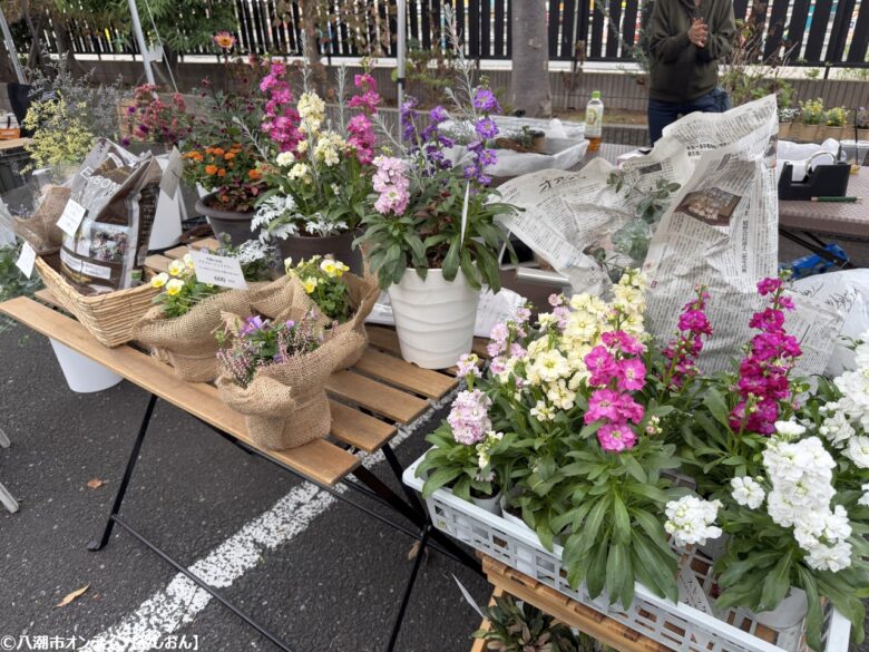 地域の魅力が咲いた一日　草加市・光明寺で「お寺deマルシェ」開催報告