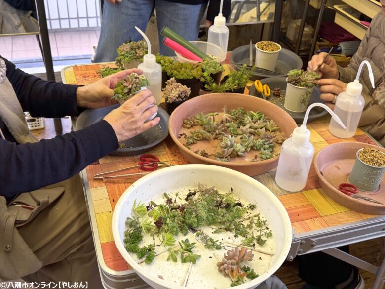 秋の味覚と体験がいっぱい！八潮市鶴ケ曽根で「ツルマルシェ」開催されました