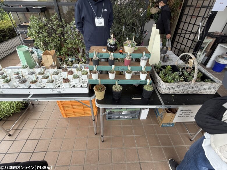 秋の味覚と体験がいっぱい！八潮市鶴ケ曽根で「ツルマルシェ」開催されました