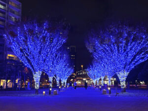 におどり公園で11/25に点灯式開催　ライブとホットワインで冬の夜を彩る