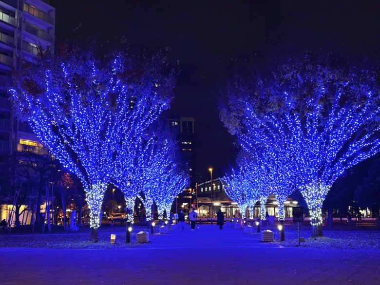 におどり公園で11/25に点灯式開催 ライブとホットワインで冬の夜を彩る