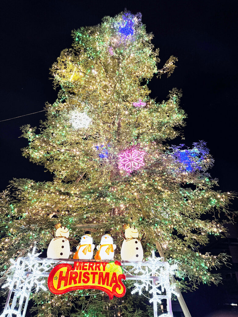 におどり公園で11/25に点灯式開催 ライブとホットワインで冬の夜を彩る