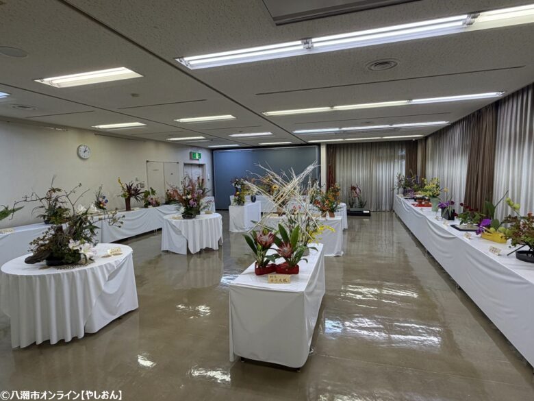 市民の文化が躍動!「第51回八潮市民文化祭」八潮メセナで開催、多彩な発表と交流の2日間