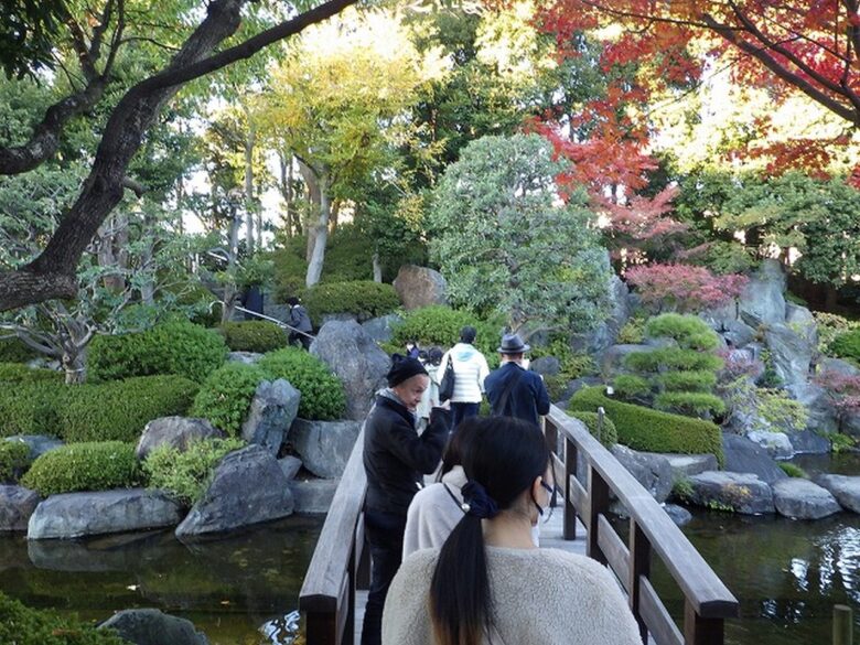 足立区花畑記念庭園で“秋のライトアップ”開催 紅葉と光が織りなす幻想的な7日間