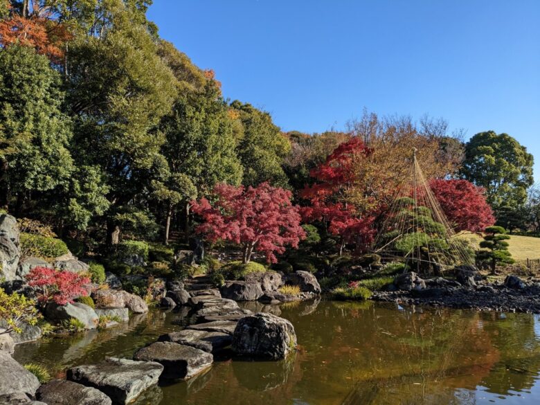 足立区花畑記念庭園で“秋のライトアップ”開催 紅葉と光が織りなす幻想的な7日間