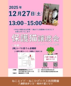 八潮駅徒歩2分で保護猫譲渡会開催　12月27日、シバ工芸前で里親募集