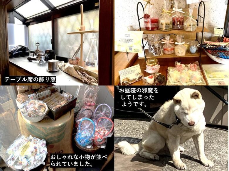 【八潮市】驚きのボリュームと優しさが詰まった３８カフェの満足ランチ体験レポート