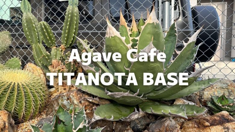 TITANOTA BASE 「チタノタベース」