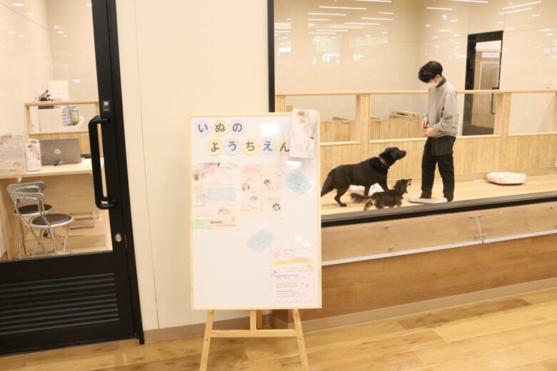 次世代型「カインズ吉川美南店」12月11日開業 八潮・三郷エリアの暮らしを変える新拠点