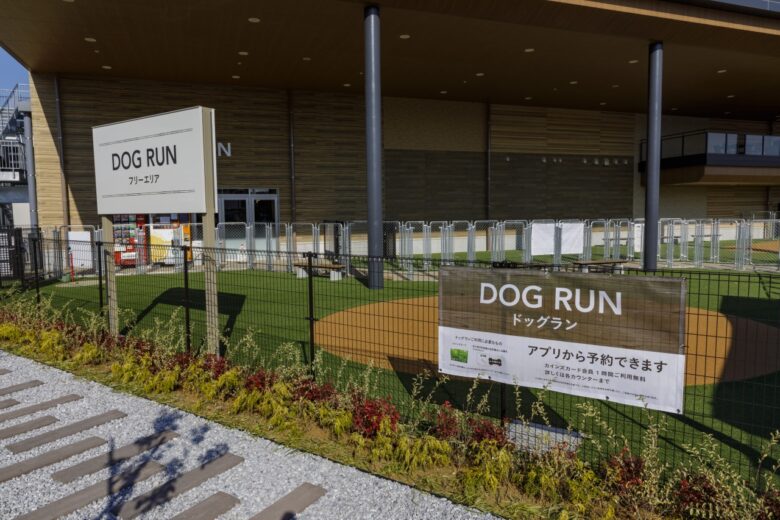 次世代型「カインズ吉川美南店」12月11日開業 八潮・三郷エリアの暮らしを変える新拠点