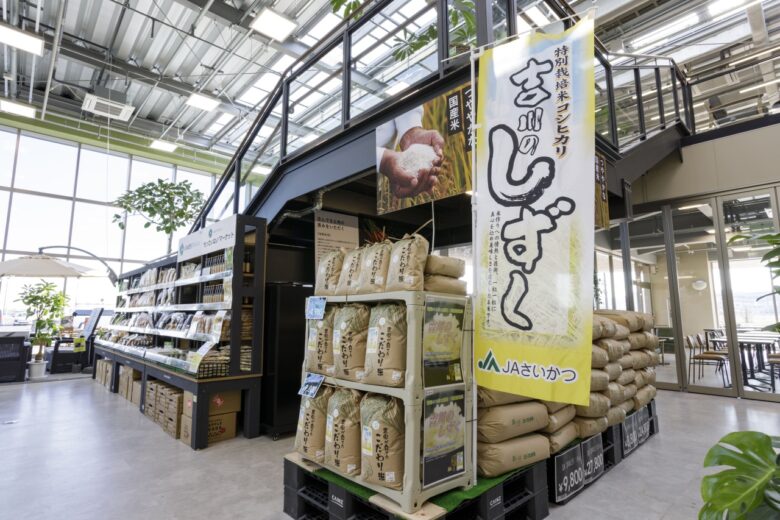 次世代型「カインズ吉川美南店」12月11日開業 八潮・三郷エリアの暮らしを変える新拠点